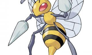 图片种子怎么用 图片种子怎么用